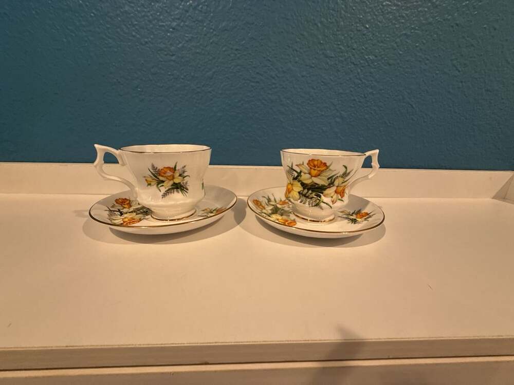 English Vintage ROYAL Dover Fine Bone China Tea Cup and Saucer Flower of the Mon